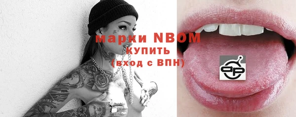 мдпв Гусь-Хрустальный