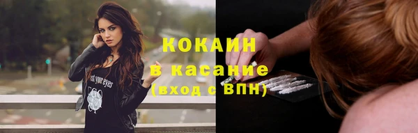 мет Дмитров