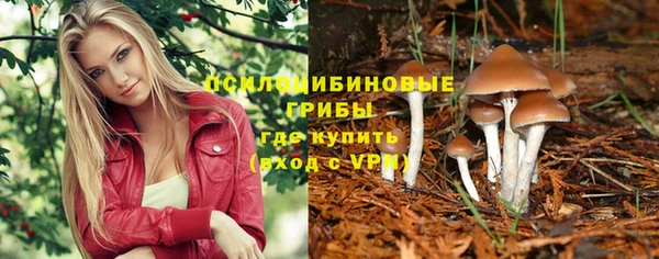 герыч Дмитриев