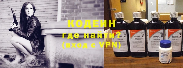 мдпв Гусь-Хрустальный